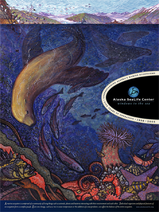 Sealife Illustration